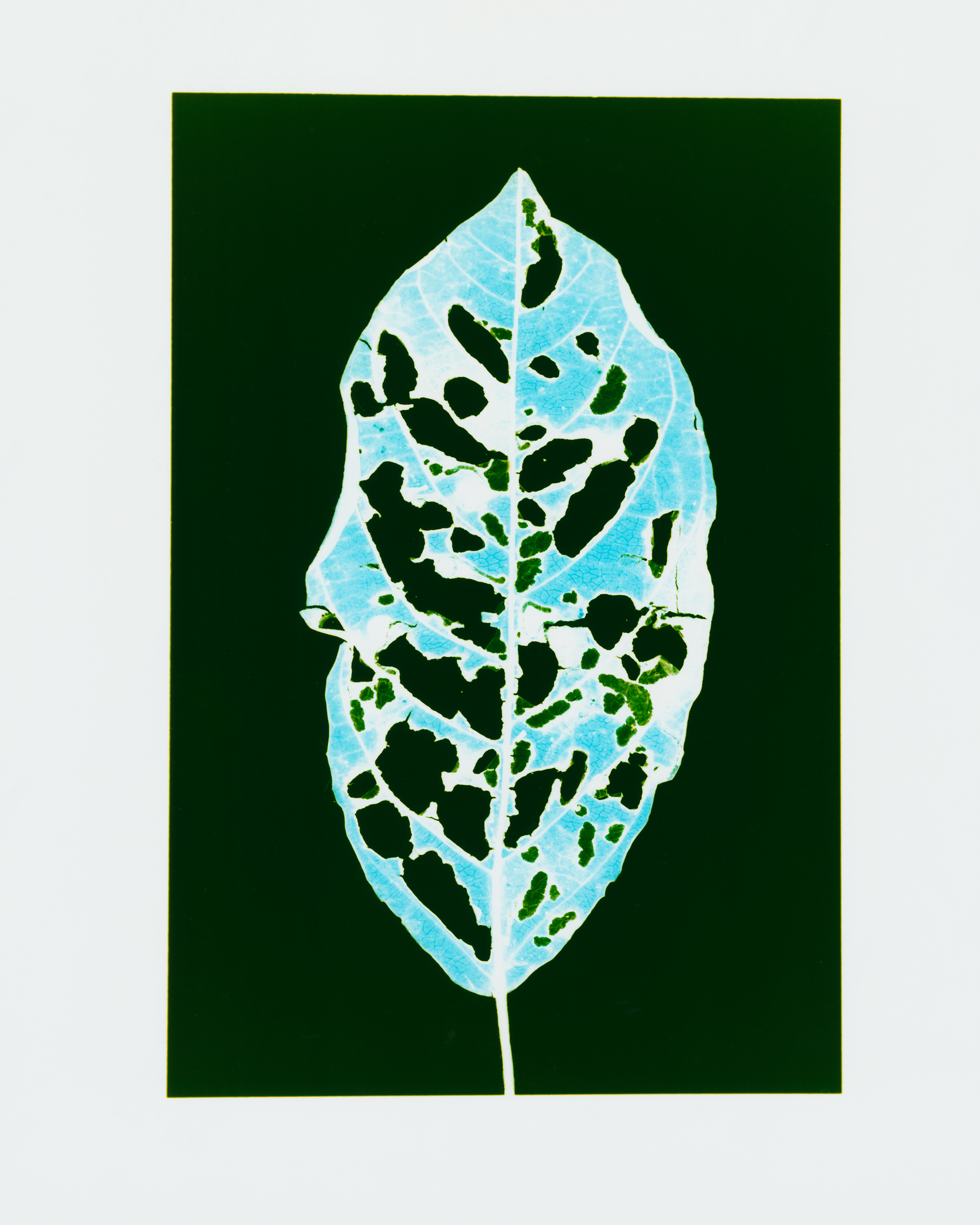 Building a better bulb